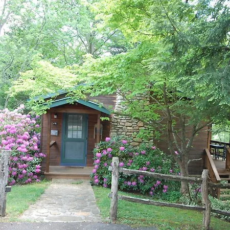 Mountain Springs Cabins-3