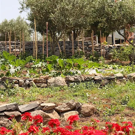 La Rosa dei Venti-2