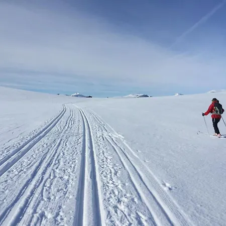 Rondane Hoyfjellshotell-2