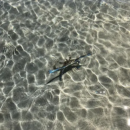 Peppermint Grove Beach Holiday Park-2