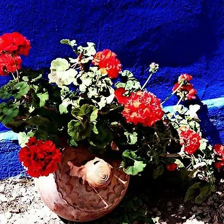 Las Banderas-2