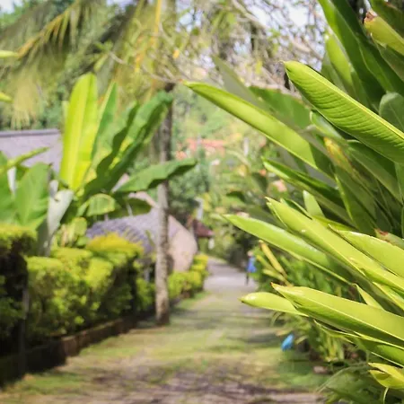 Balian Surf Villas-3