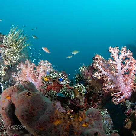 Bali Dive Resort Amed-2