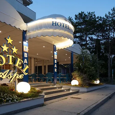 Hotel Aspe-2