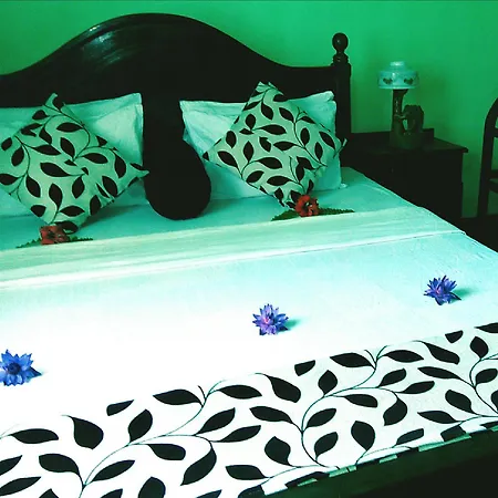 Walauwa The Villa Ahungalla (Adults Only)-2