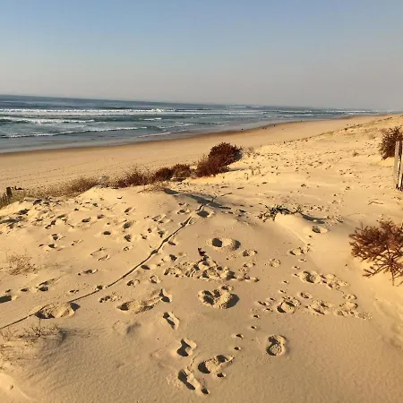 La Cote D'Argent-3