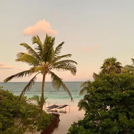 Libelula Tulum Beachfront Hotel-2