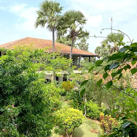 Dream Garden-2