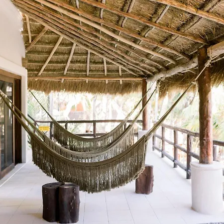 Nest Tulum-2