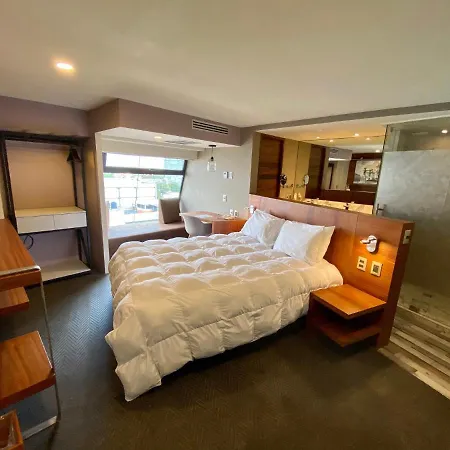 Hotel Cle Reforma Insurgentes-2