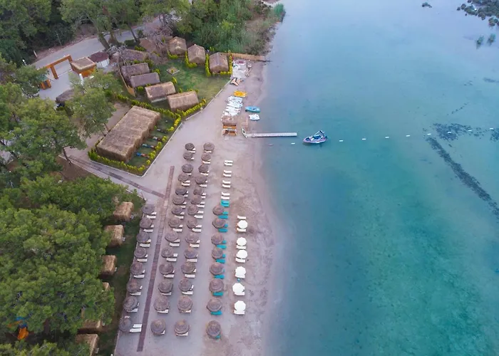Green Pine Bungalows & Beach Luxury Concept