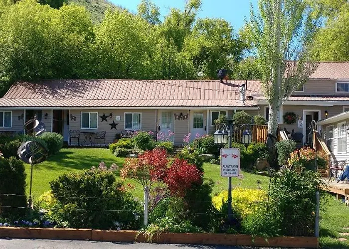 Alpaca Inn, The