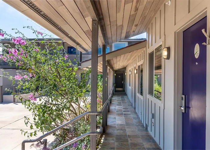 Wildflower Boutique Motel