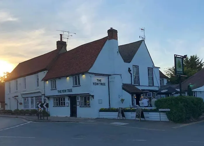 Stay And Relax At The Yew Tree