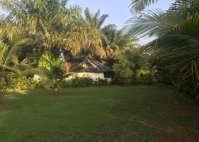 Green Zion Garden