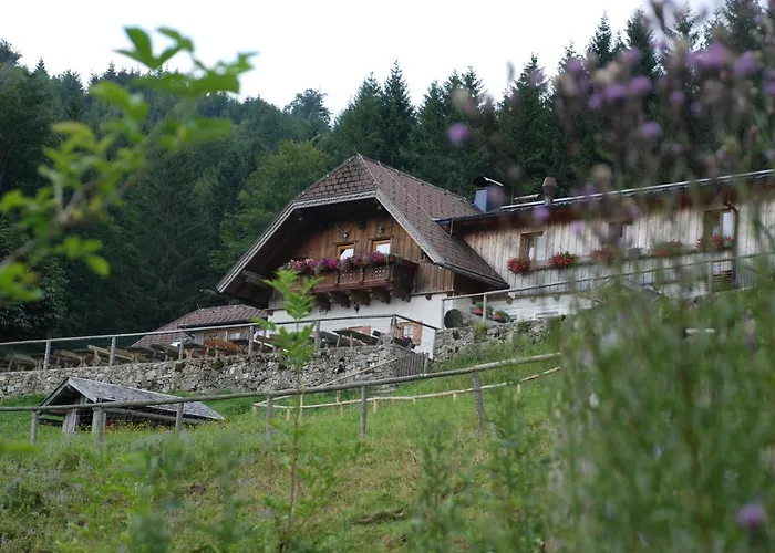 Ferienwohnung Hochsteinalm