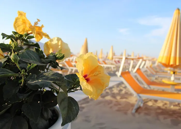 Hotel Villa Lieta