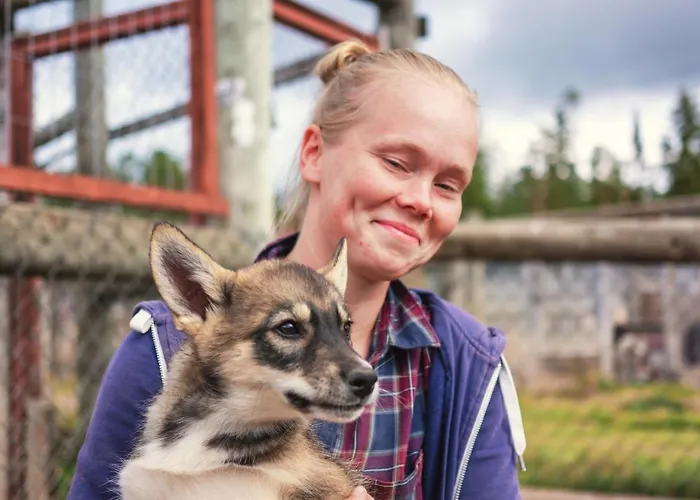 Harriniva Adventure Resort Cabins Muonio