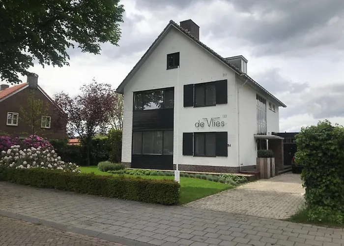De Vlies