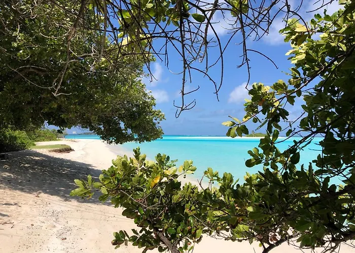 Royal Reef Stay