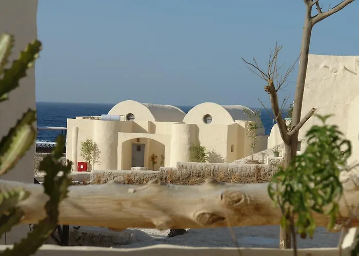 Oasis