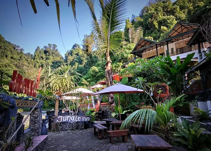 Jungle Inn
