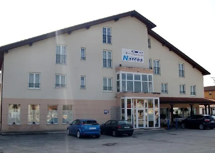 Hotel Narcea