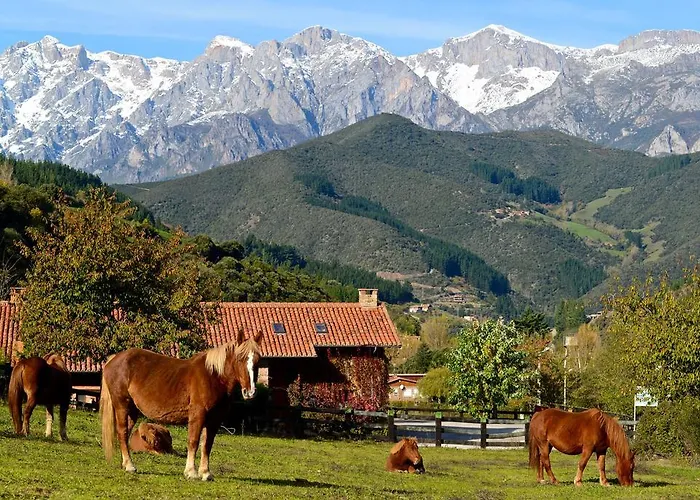 Hotel-Posada La Casa de Frama