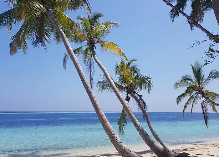 Vaali Maldives Island Escapes & Dive