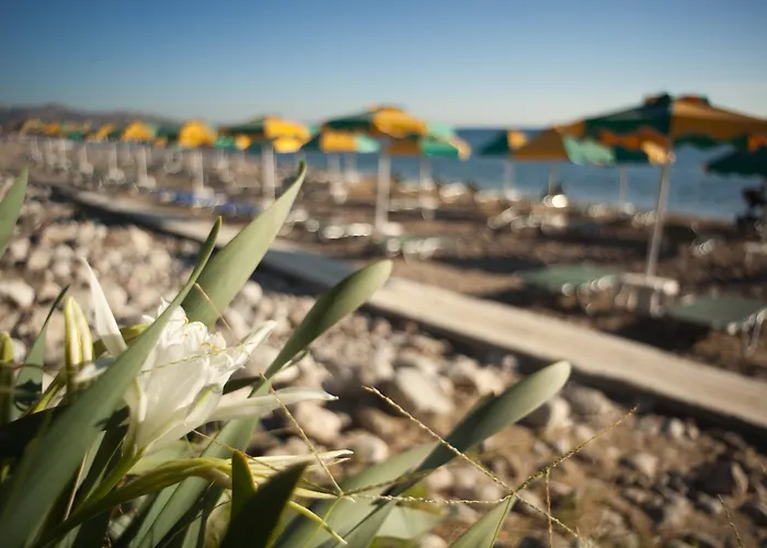 Irene Palace Beach Resort Kolymbia