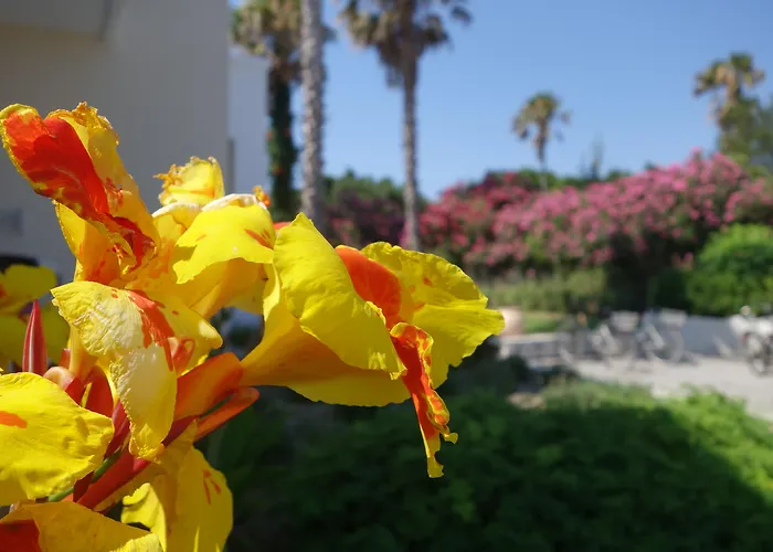 Andromeda Hotel Apartments Psalidi 