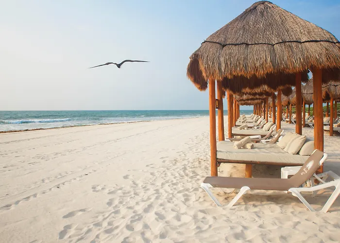 Valentin Imperial Riviera Maya All Inclusive - Adults Only Playa Paraiso