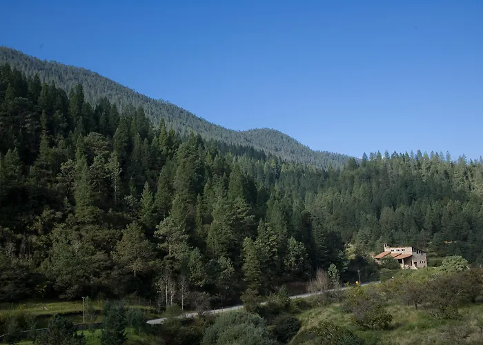 Bosques De Monterreal