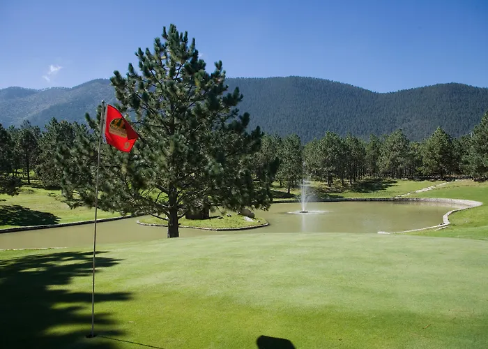 Bosques De Monterreal
