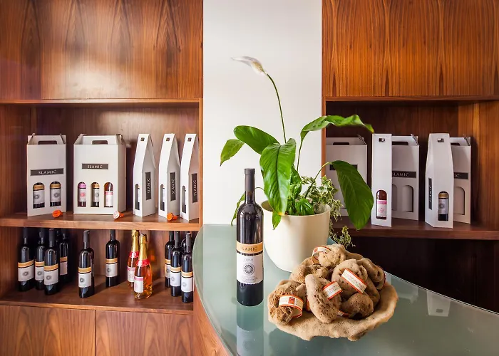 Hotel Borovnik Tisno