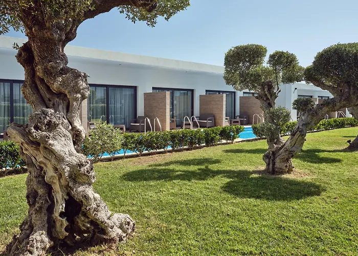 Cavo Orient Beach Hotel&Suites Drosia 