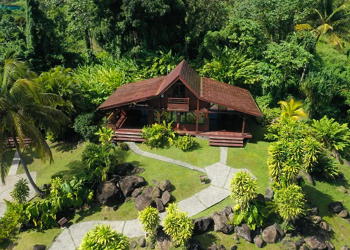 Jardin Malanga