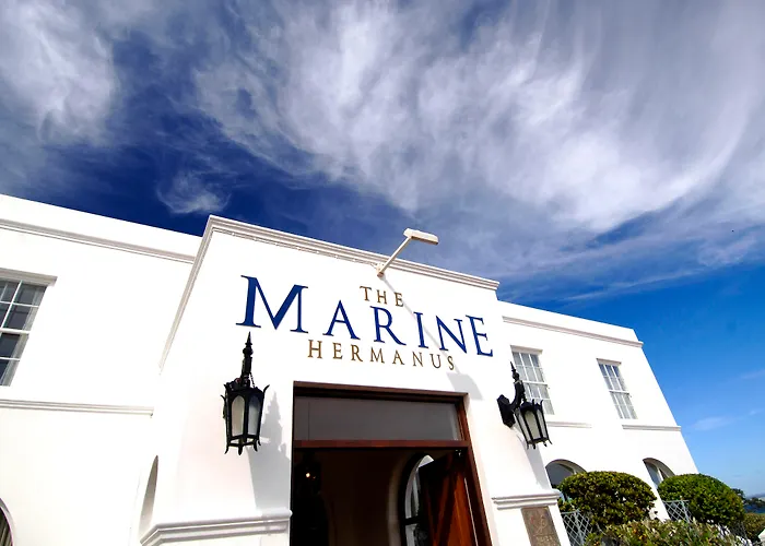 The Marine Hermanus