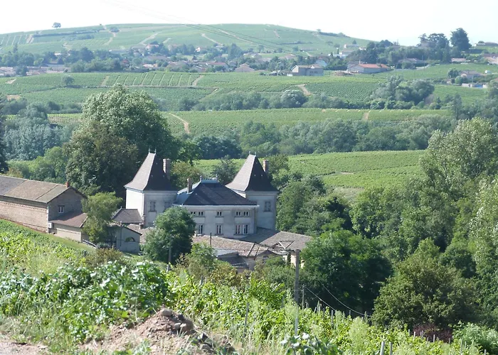 Logis Hotel Des Grands Vins Fleurie