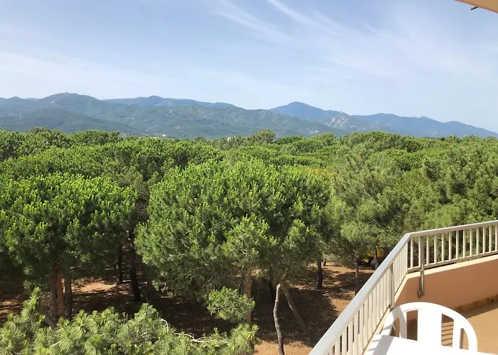 Plage Des Pins Argelès-sur-Mer