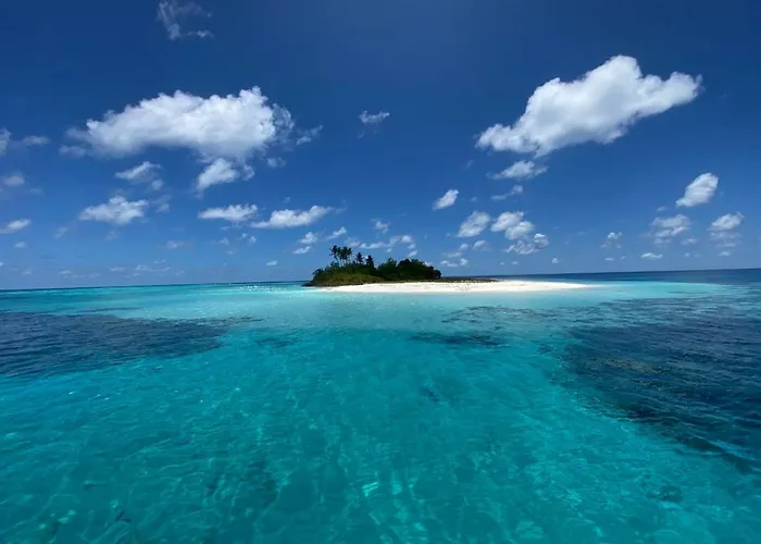 White Coral Rasdhoo