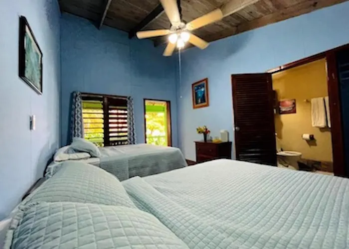 Reef House Resort
