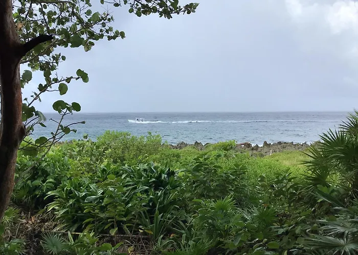 Cocolobo Resort West End