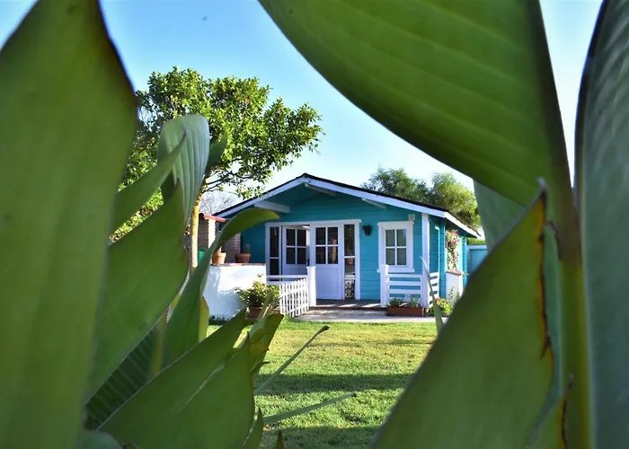 Kontiki Bungalows El Palmar