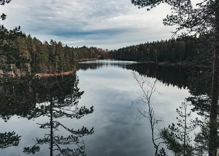 Nuuksio - Conferences And Events