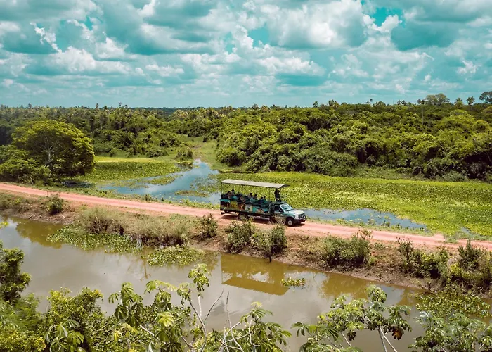 Fazenda San Francisco