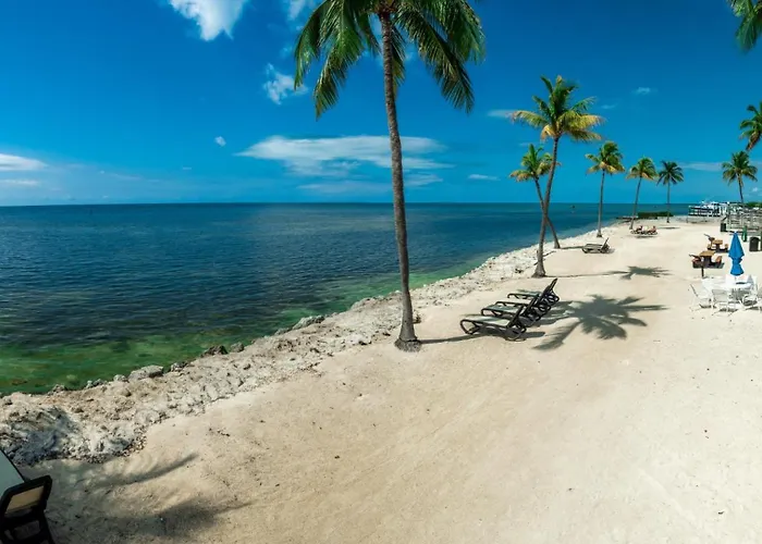 Caloosa Cove Resort By Coolvacay Islamorada