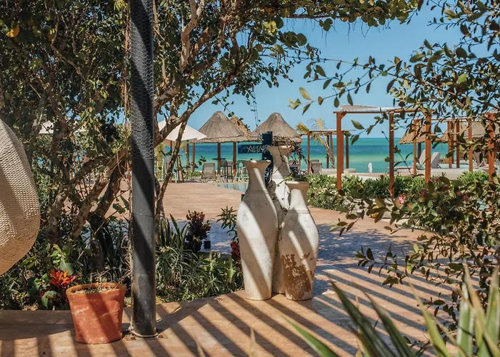 Totem Beach Club - Celestun