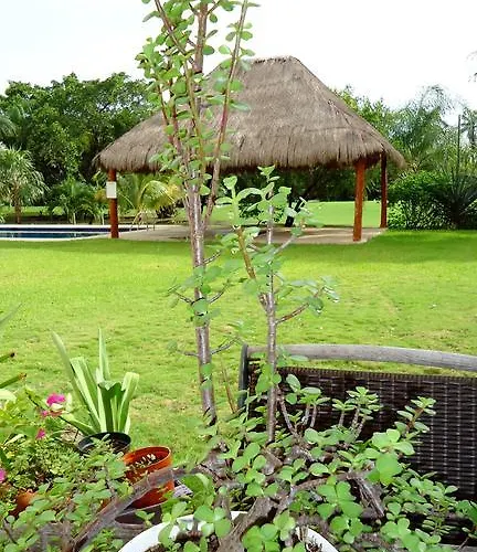 B&B Mom'S House Puerto Aventuras