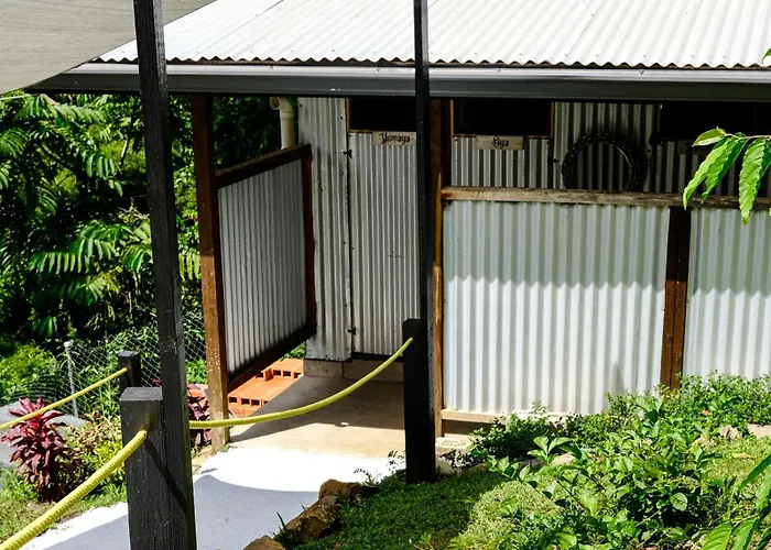 Silk Cotton Cottages